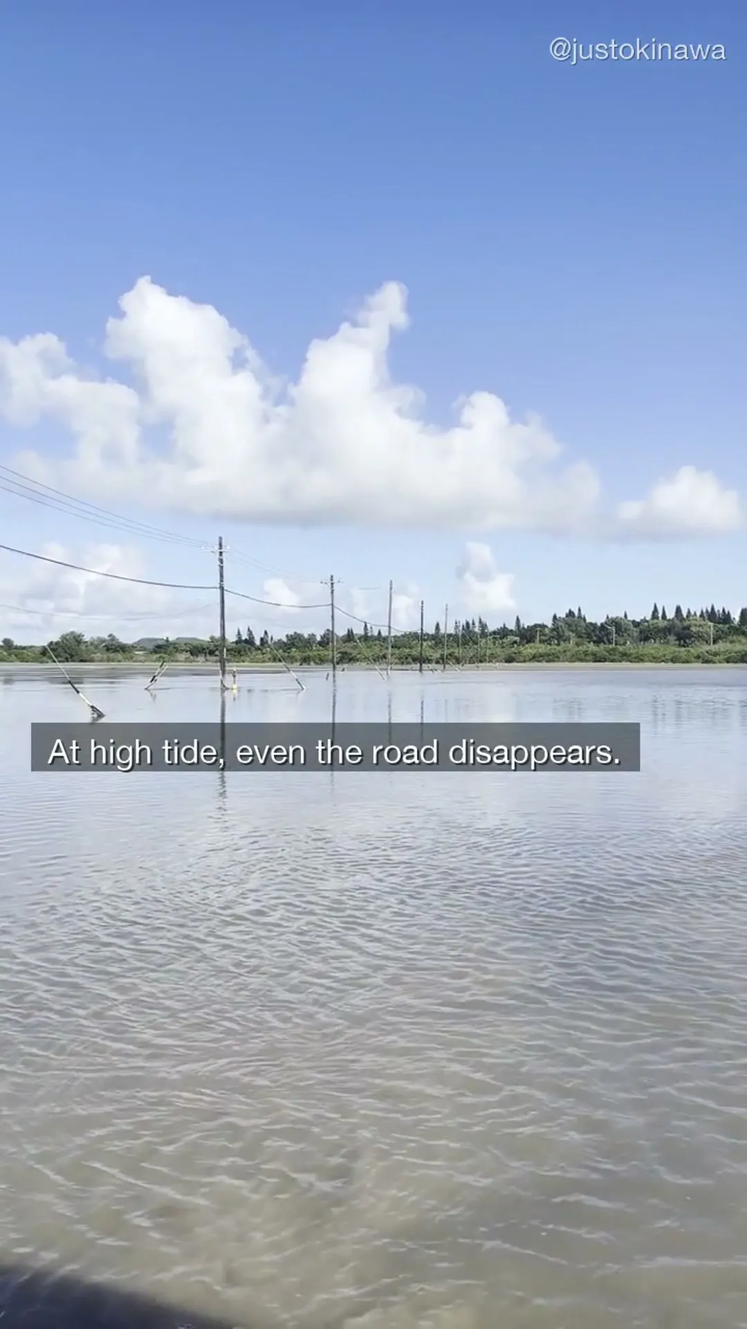 Power lines and utility poles standing in floodwater at high tide — the road between Iriomote and Yubu Island completely submerged