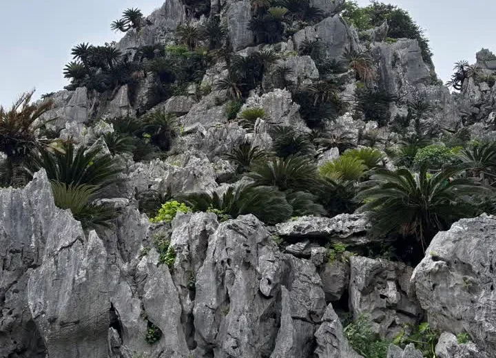 Panoramic view from Asumui ridge in Okinawa — ocean stretching out on one side, green island interior on the other