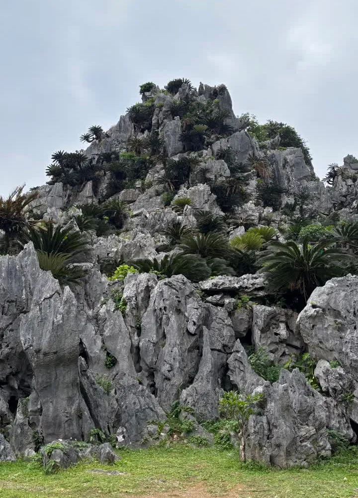 Panoramic view from Asumui ridge in Okinawa — ocean stretching out on one side, green island interior on the other