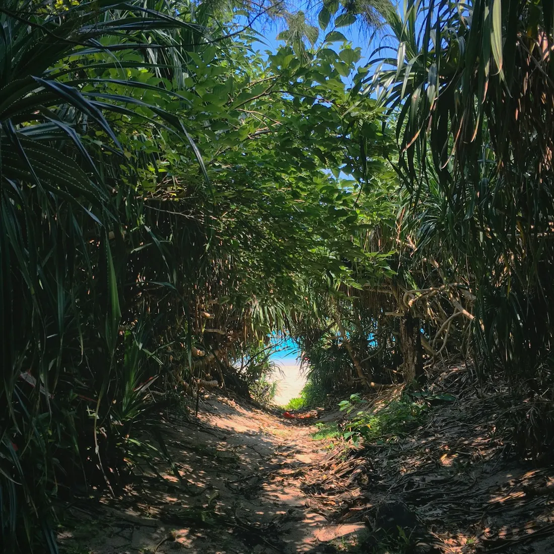 Nature & outdoors